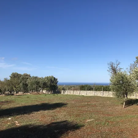 فندق مبيت وإفطار Il Trullino 3*